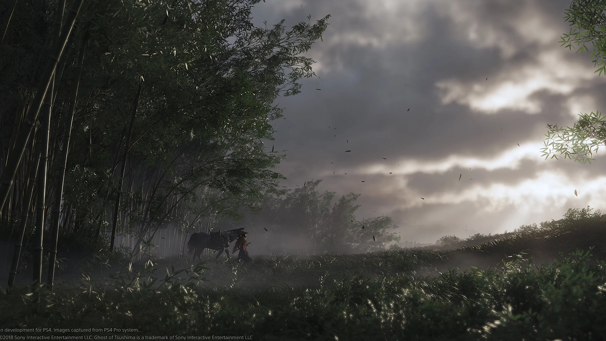 Sony Interactive Entertainment Ghost of Tsushima PlayStation 4