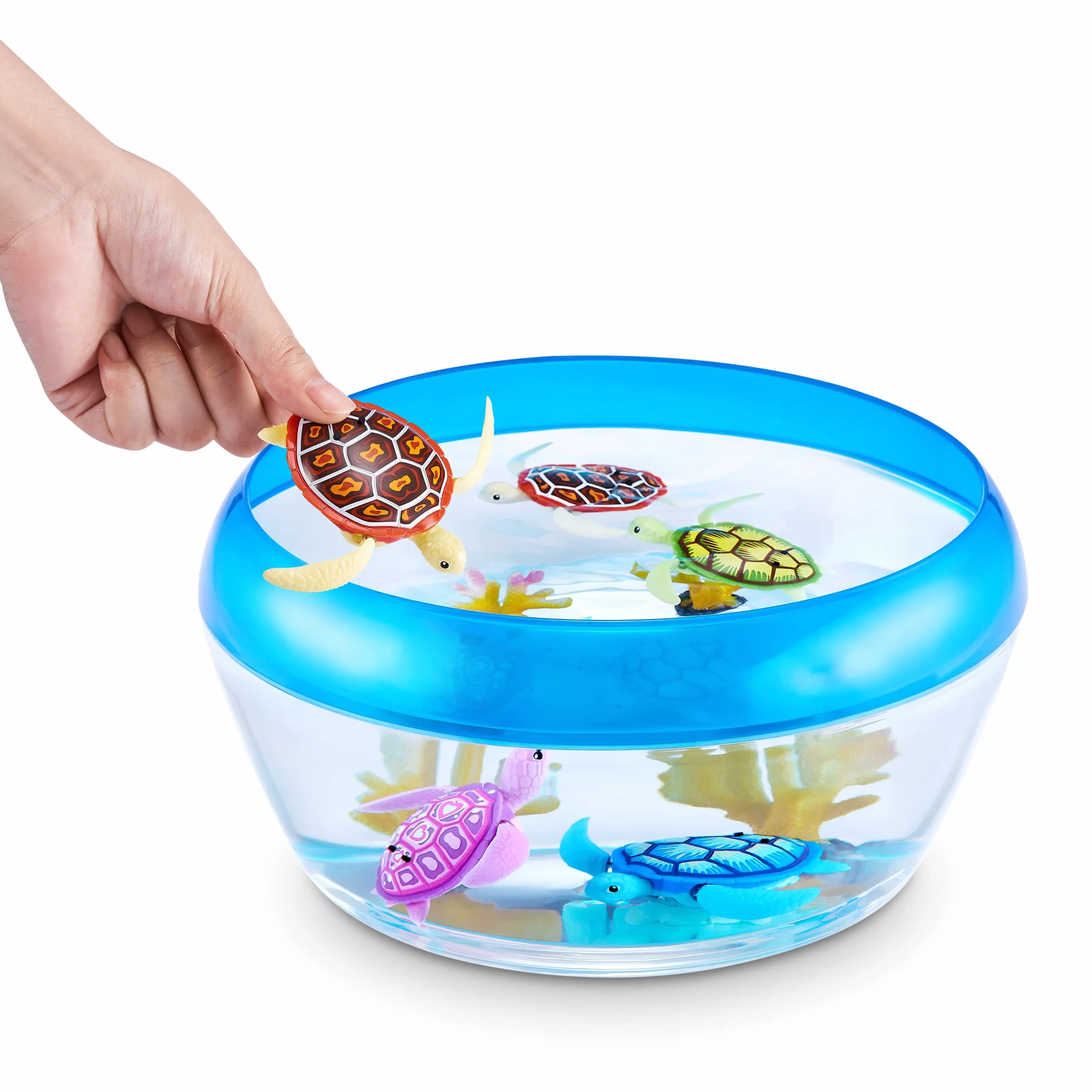 Robo Turtle robot żółw (2 sztuki, zielony i różowy)