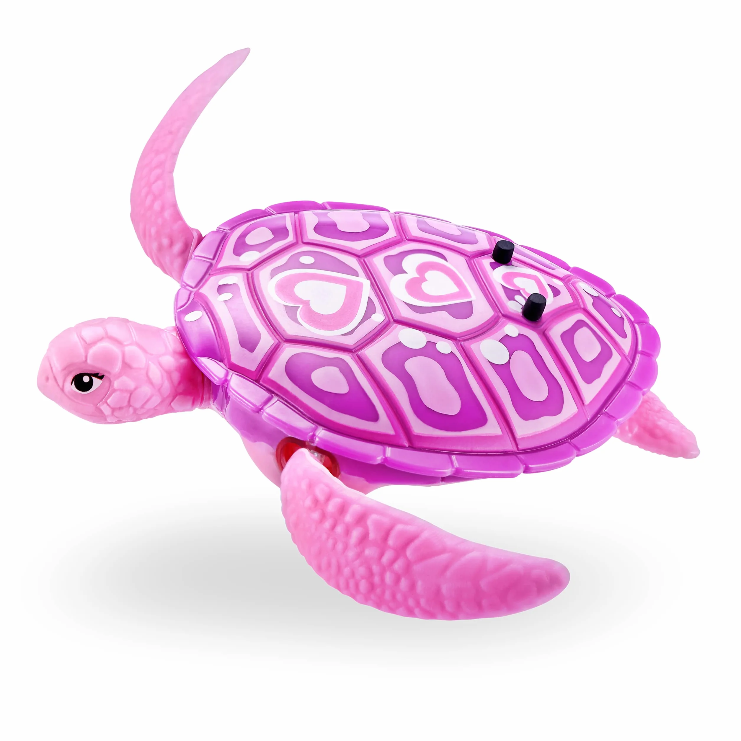 Robo Turtle robot żółw (2 sztuki, zielony i różowy)
