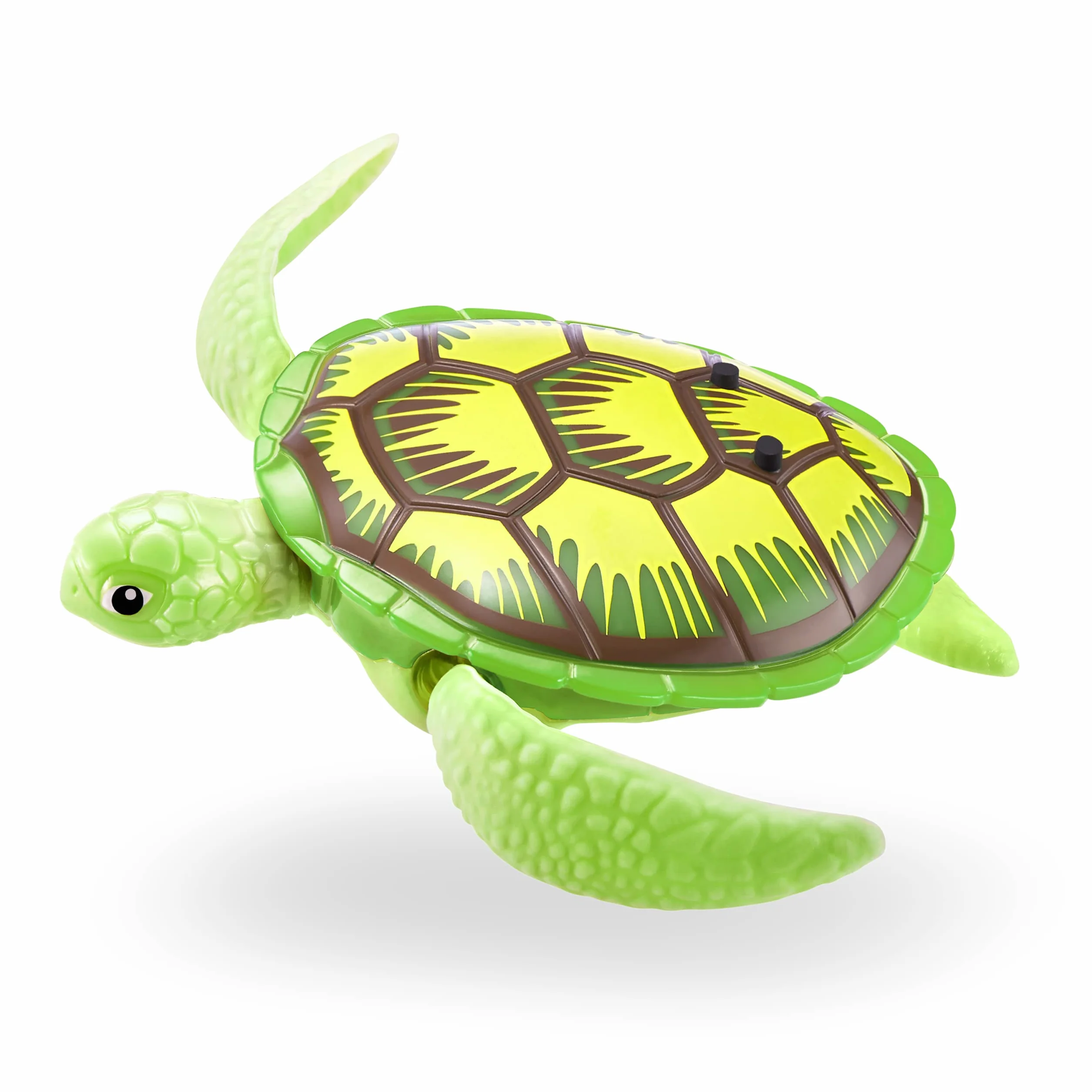 Robo Turtle robot żółw (2 sztuki, zielony i różowy)